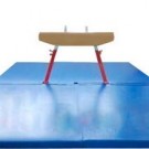 Colchonetas Pommel y Landing al mejor precio en venta