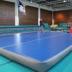 estera inflable flotante del gimnasio de la gimnasia del agua de la pista de la caída del aire de los 4-15M en venta
