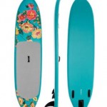 Fish surfboard moderno diseño softech precio bajo