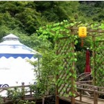 Pequeña yurta mongola precio de fábrica ambiente cómodo