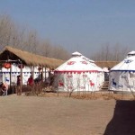 Precio de fábrica de la yurta del ger mongol del restaurante de 8 metros