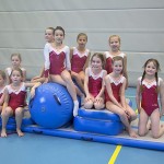 Colchoneta de gimnasia inflable|Precio directo de fábrica de colchoneta de yoga