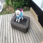 Cama de viaje para perros de PVC con tela de punto de caída