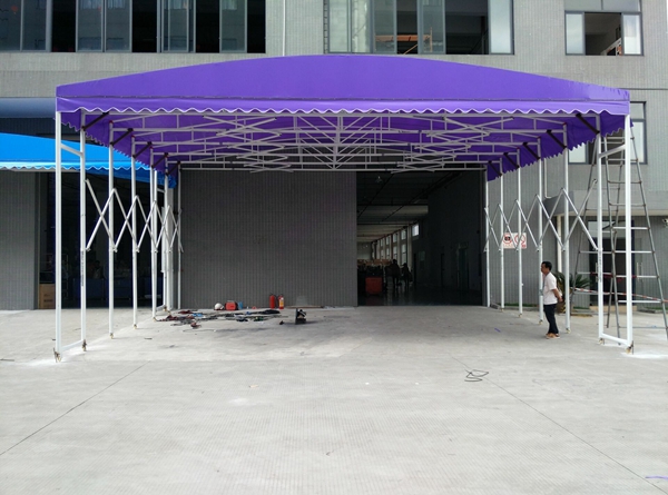 precio de fábrica de carpas